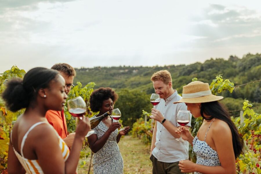 Charleston: Wadmalaw Island Wine Tasting and Tea Garden Trip - Charleston Tea Garden, where the day slows down