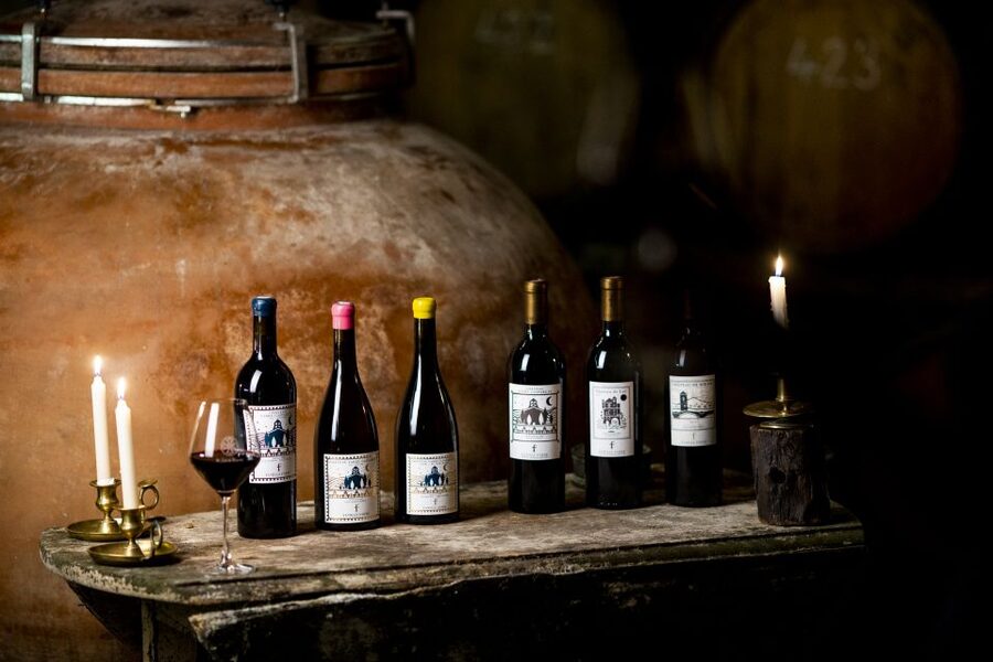 Château de Luc: Unique visit and wine tasting - Why Château de Luc feels different from a standard winery tour