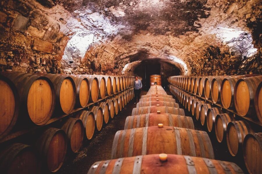 Château de Luc: Unique visit and wine tasting - Tasting organic wines in a former stable
