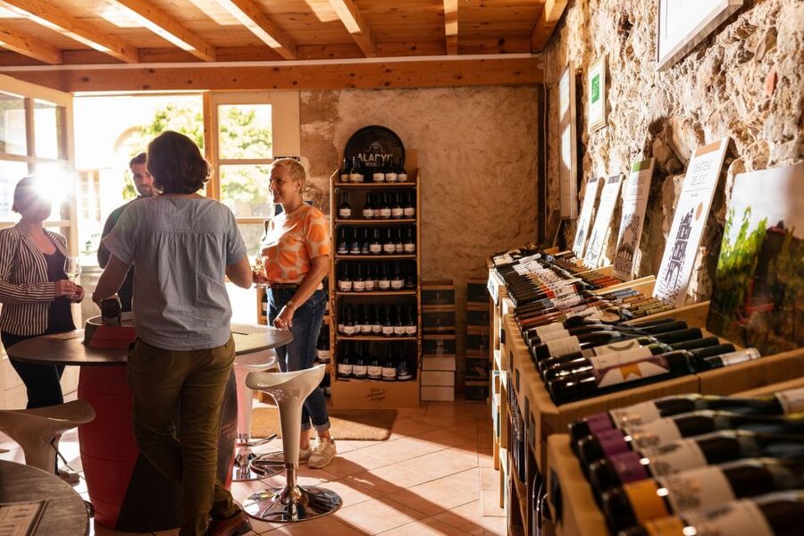 Château de Luc: Unique visit and wine tasting - Languages, guides, and the feel of the visit