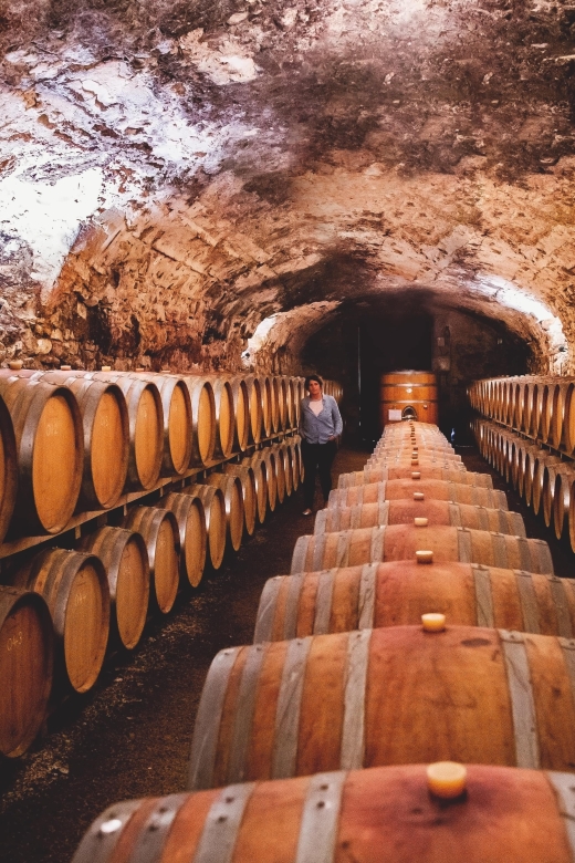 Château de Luc: Unique visit and wine tasting - Practical details that can affect your day