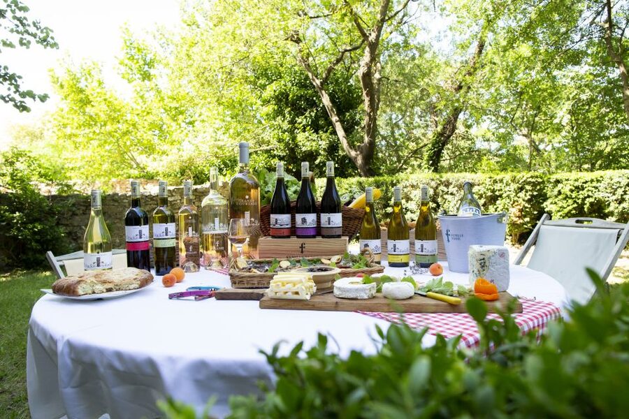 Château de Luc: Unique visit and wine tasting - Starting in the château’s historic rooms