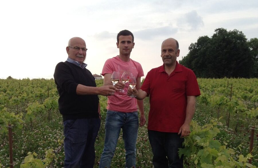 Château du Bois-Huaut: Cellar Tour and Wine Tasting Class - Starting among 14 grape varieties