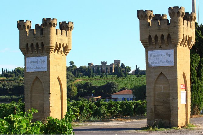 Châteauneuf du Pape Wine Day Tasting Tour including Lunch from Avignon - Three tastings that do not feel repetitive