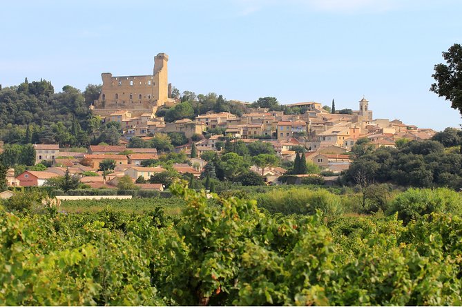 Châteauneuf du Pape Wine Day Tasting Tour including Lunch from Avignon - Lunch with a view, not an afterthought