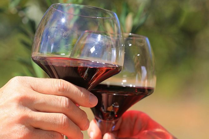Châteauneuf du Pape Wine Day Tasting Tour including Lunch from Avignon - The first tasting: getting beyond the famous label
