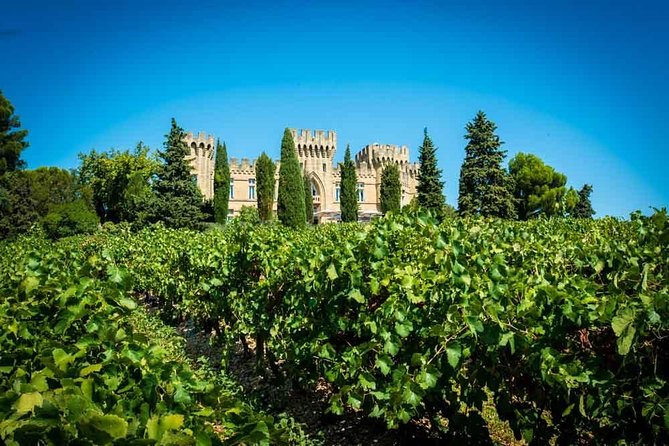 Chateauneuf du Pape wine tour - Stop one: reading the Châteauneuf-du-Pape terroir