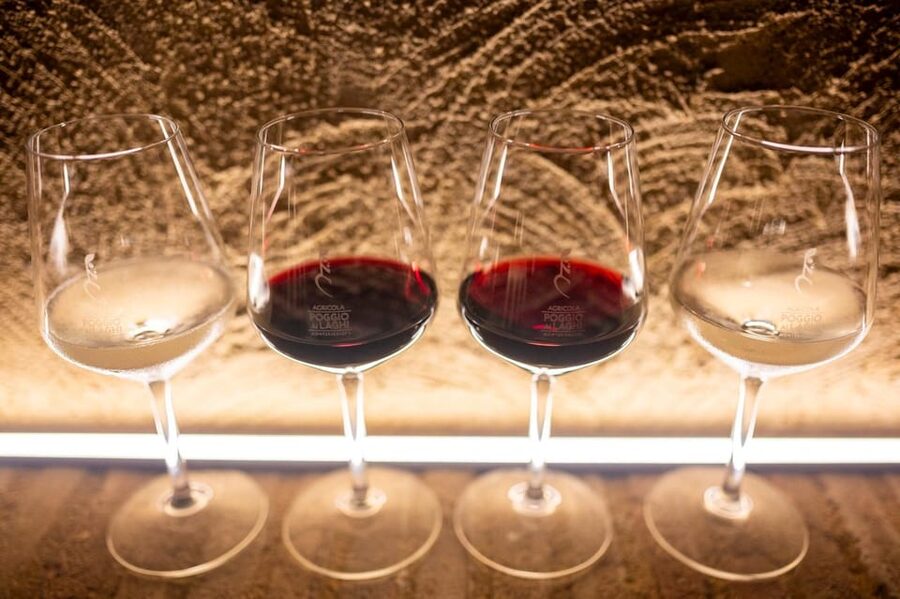 Chianti: Lunch with Wine Tasting at Poggio ai Laghi Winery - What you are paying for at $41