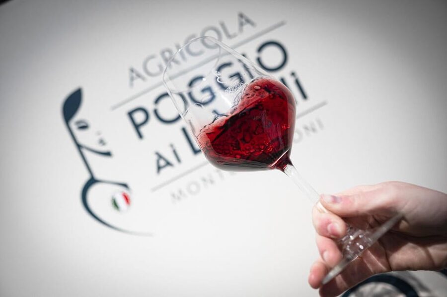 Chianti: Lunch with Wine Tasting at Poggio ai Laghi Winery - Who will enjoy this most