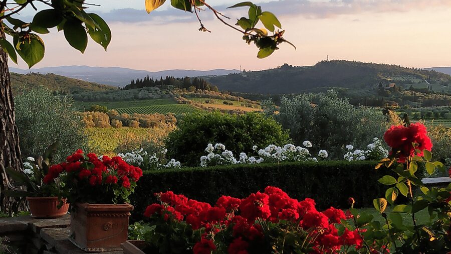 Chianti: Vineyard to Bottle Winery Visit with Tastings - Entering the ancient cellar and following the wine