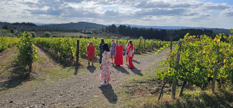 Chianti: Vineyard to Bottle Winery Visit with Tastings - Is $37 a fair price?