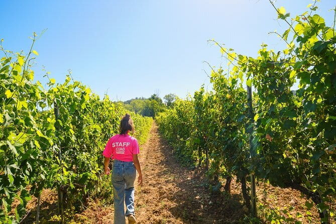 Chianti Vineyards Escape from Florence with Two Wine Tastings - Leaving Florence from Piazzale Montelungo