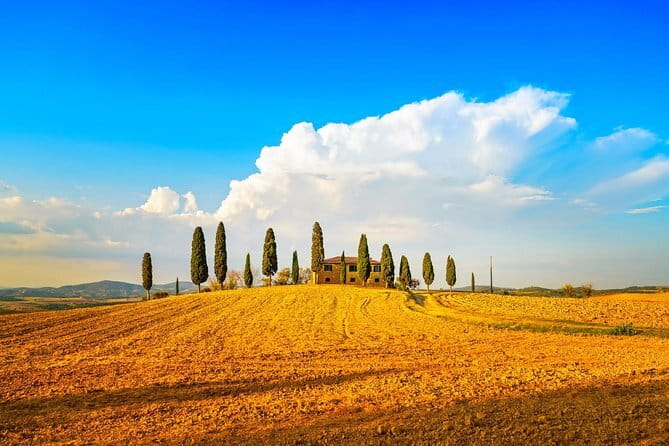 Chianti Vineyards Escape from Florence with Two Wine Tastings - The best photo moments come late in the day