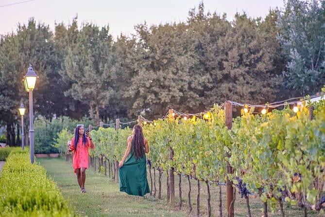Chianti Vineyards Escape from Florence with Two Wine Tastings - Guides can make or break the afternoon