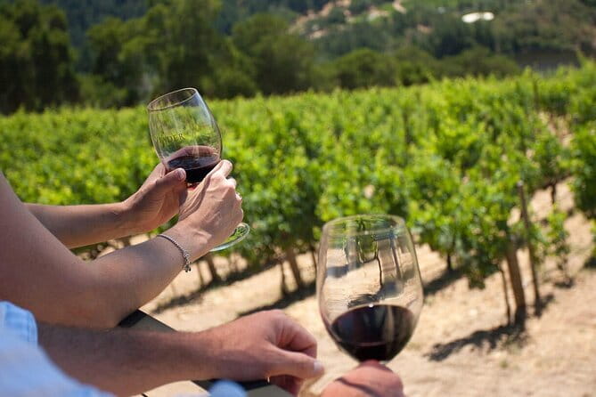 Chianti Wine Tour from Florence - Second stop: vineyards, cellars, and a wider tasting