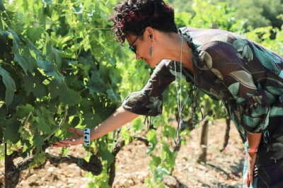 Chianti Wine Tour from Florence