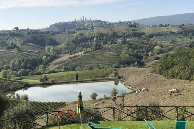 Chianti Wineries Tour with Tuscan Lunch and San Gimignano - Two Chianti wineries, two different moods
