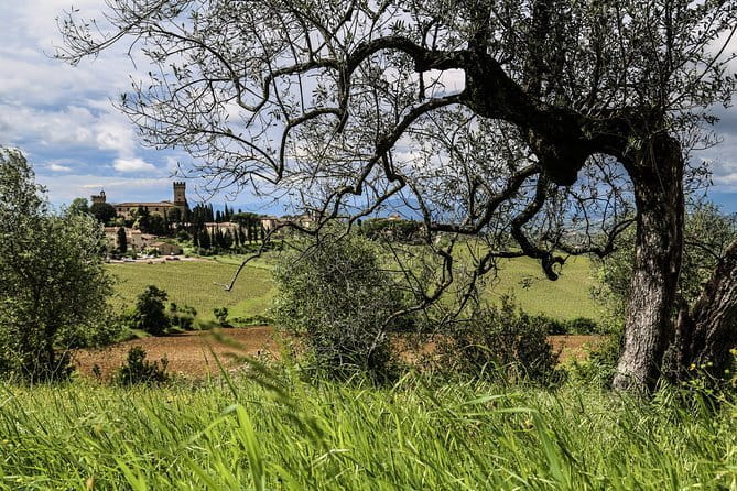 Chianti Wineries Tour with Tuscan Lunch and San Gimignano - Who should book this Chianti day trip?