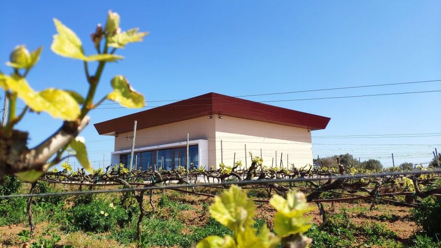 Ciutadella de Menorca: Family Winery Tour with Wine Tasting - Arriving at Binitord Bodega near Ciutadella