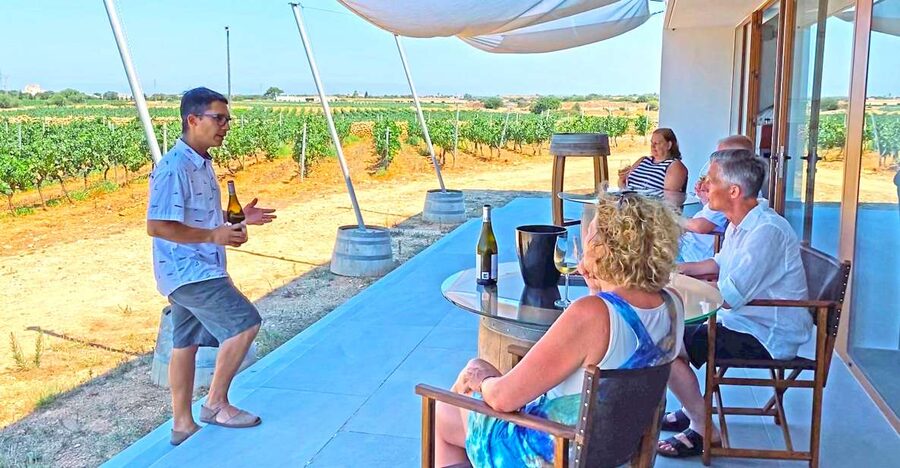 Ciutadella de Menorca: Family Winery Tour with Wine Tasting - Walking among vines through the changing seasons