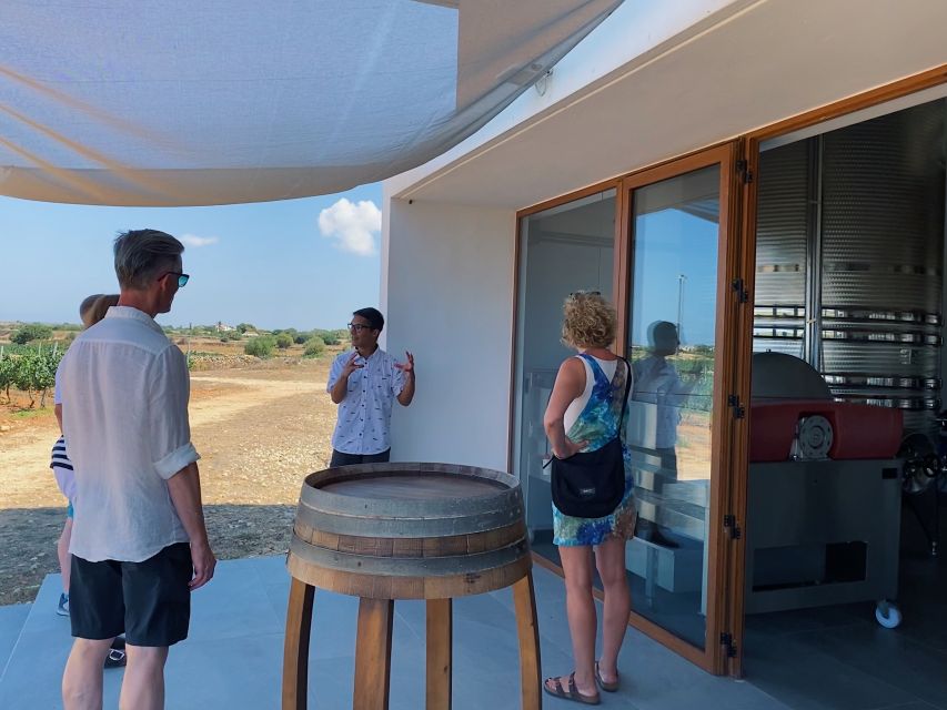 Ciutadella de Menorca: Family Winery Tour with Wine Tasting - What the $28 price really buys you