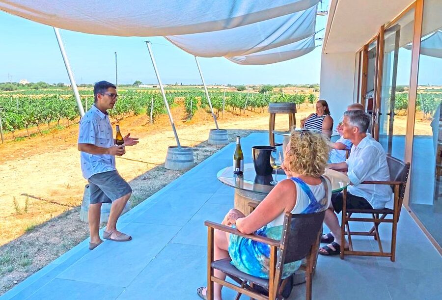 Ciutadella de Menorca: Family Winery Tour with Wine Tasting - A family winery with a clear Menorcan identity