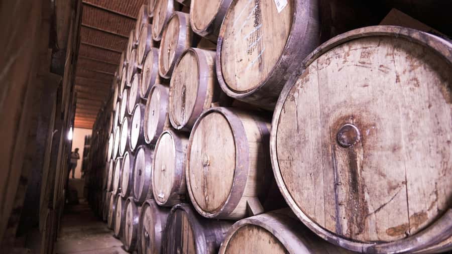 Classic Tequila Route Tour from Guadalajara and cantaritos el GÜERO!!! - The tasting: blanco, reposado, añejo, and liqueurs