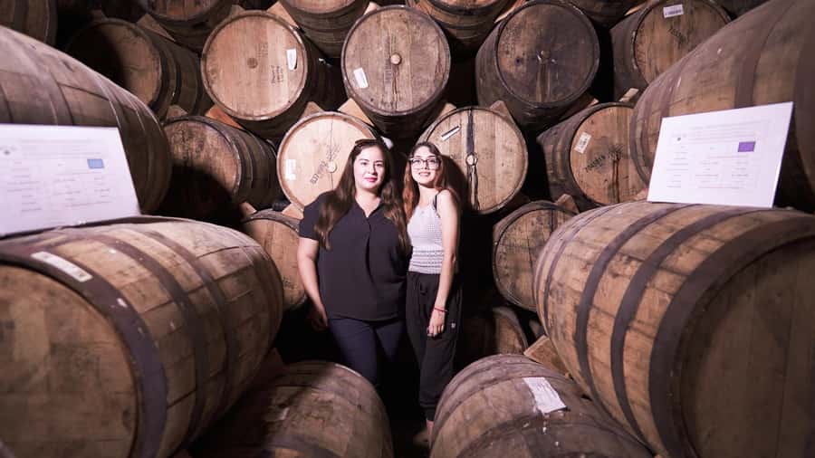 Classic Tequila Route Tour from Guadalajara and cantaritos el GÜERO!!! - Tequila town, markets, and free time