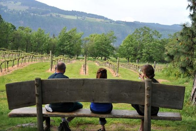 Columbia Gorge Waterfalls & Wineries from Portland: All-Inclusive Afternoon Tour - What the $189 price actually covers