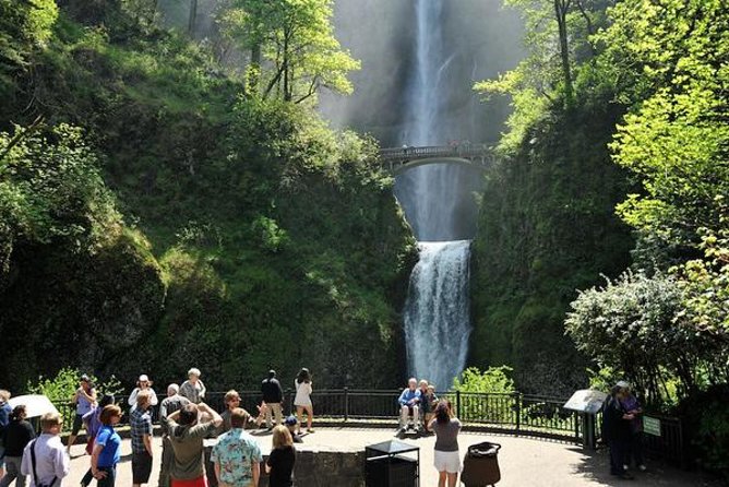 Columbia Gorge Waterfalls & Wineries from Portland: All-Inclusive Afternoon Tour - Short walks at two or three Columbia Gorge waterfalls