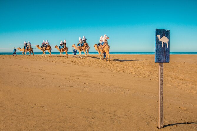 Combo Single Offroad 4x4 UTV, Camel Ride, Lunch & Tequila Tasting - Mexican food at the oceanfront restaurant