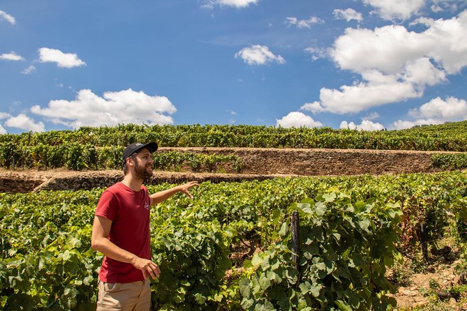Complete Douro Valley Wine Tour with Lunch, Wine Tastings and River Cruise - Why this Douro Valley day trip works from Porto