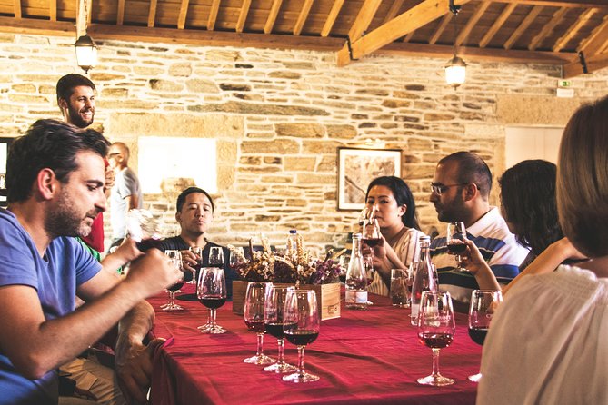 Complete Douro Valley Wine Tour with Lunch, Wine Tastings and River Cruise - A full Portuguese lunch with Douro wine