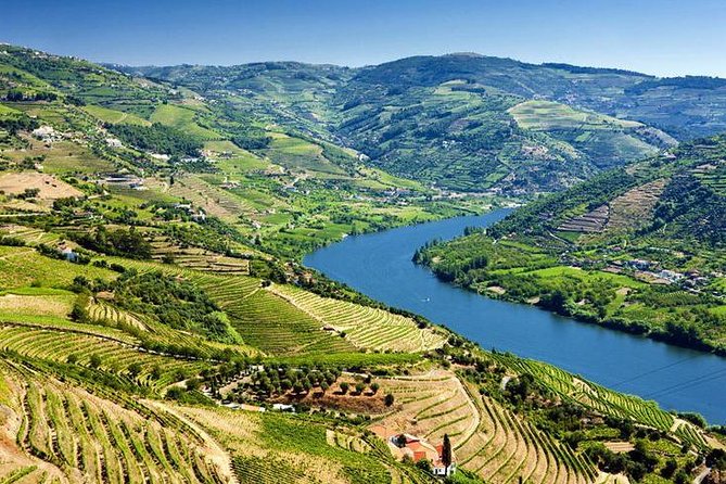 Complete Douro Valley Wine Tour with Lunch, Wine Tastings and River Cruise - São Cristóvão do Douro and the hilltop photo stop