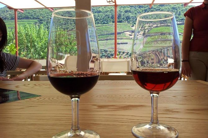 Complete Douro Valley Wine Tour with Lunch, Wine Tastings and River Cruise - A 50-minute cruise from Pinhão