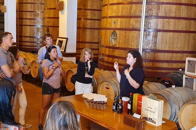 Complete Douro Valley Wine Tour with Lunch, Wine Tastings and River Cruise - What $101.76 gets you