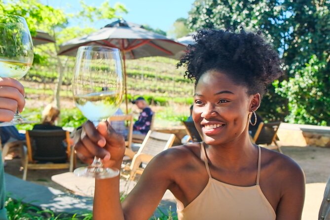Constantia Wine Walk Storytelling Vineyard Tour with Lunch - Who will enjoy this most