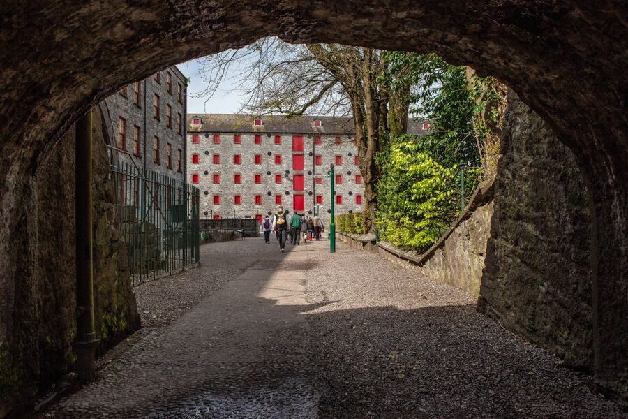 Cork: Jameson Irish Whiskey & Midleton Distillery Experience - The opening film sets the story