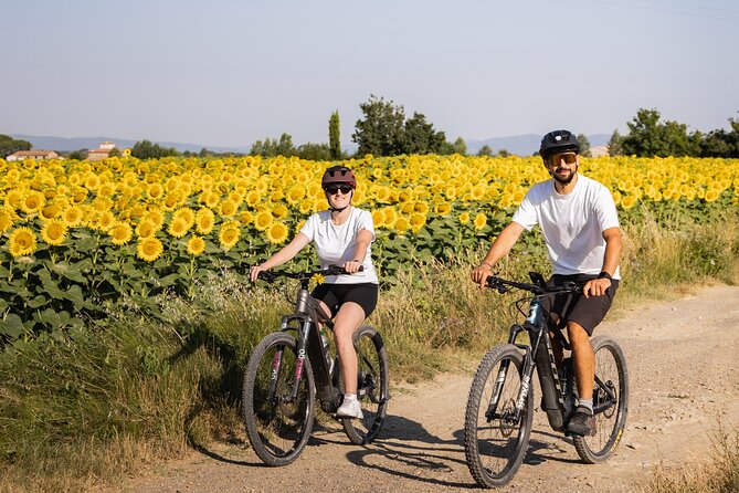 Cortona - eBike tour and wine tasting in the Val di Chiana [+40€] - Riding the white roads outside Cortona
