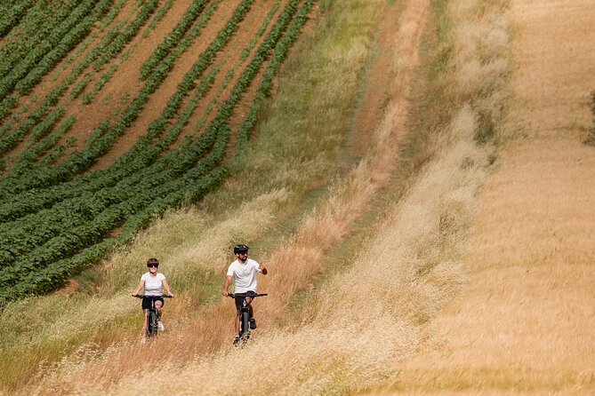 Cortona - eBike tour and wine tasting in the Val di Chiana [+40€] - Lunch and wine at the winery