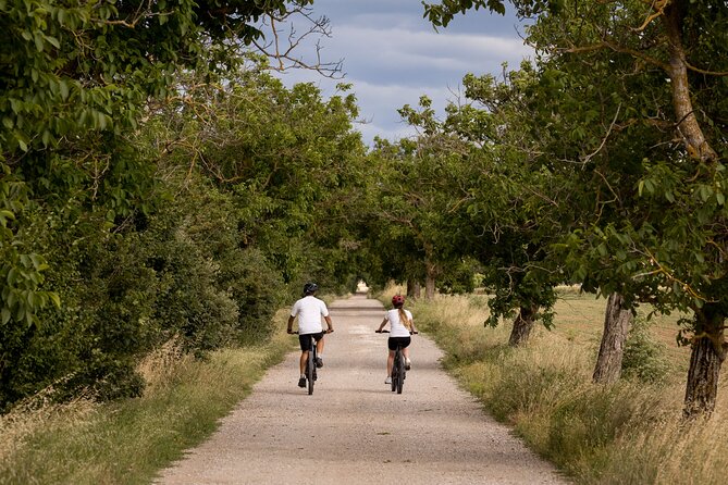 Cortona - eBike tour and wine tasting in the Val di Chiana [+40€] - Timing, meeting point, and group size