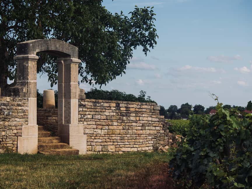 Côte de Nuits: Excursion in the heart of the vineyards - Key points at a glance