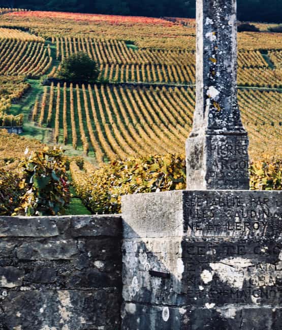 Côte de Nuits: Excursion in the heart of the vineyards - From Beaune to the Côte de Nuits in 20 minutes