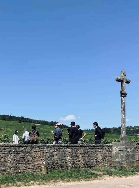 Côte de Nuits: Excursion in the heart of the vineyards - What the guide explains about Burgundy wine