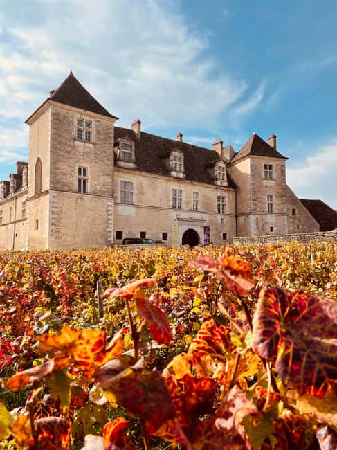 Côte de Nuits: Excursion in the heart of the vineyards - Who will enjoy this short Burgundy outing?