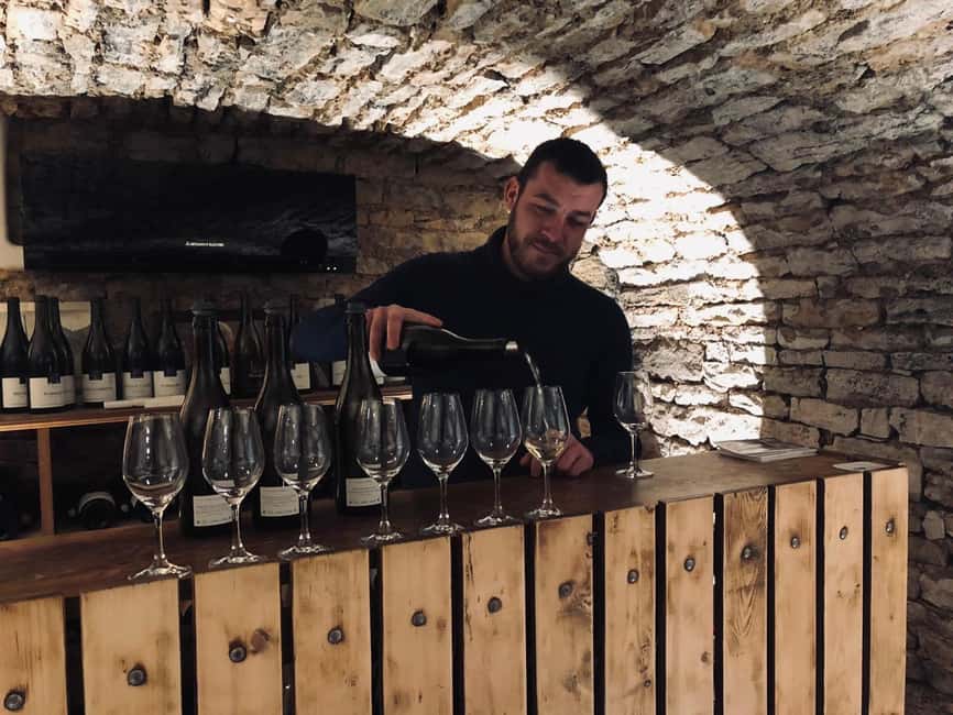 Côte de Nuits: Excursion in the heart of the vineyards - Seeing Romanée-Conti and other famous parcels