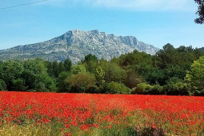Cotes de Provence Wine Tour from Aix-en-Provence - Two wineries and a taste of Sainte-Victoire
