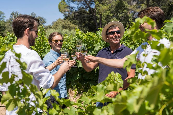 Cotes de Provence Wine Tour from Aix-en-Provence - Why the small minibus matters