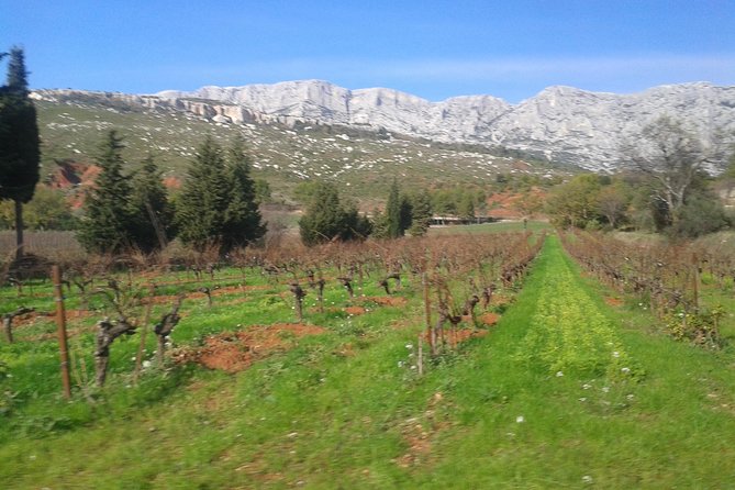 Cotes de Provence Wine Tour from Aix-en-Provence - The second estate adds contrast