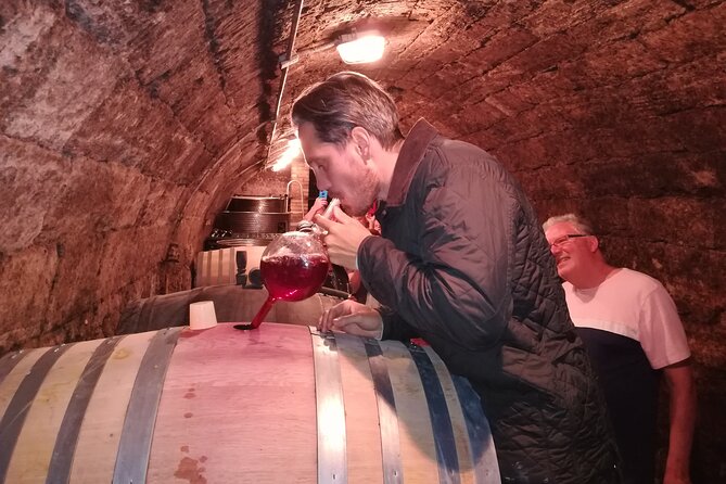 Countryside Half-day Gastro-Wine Tour from Budapest Meal & pickup - Who will enjoy this wine tour most